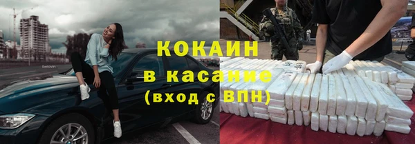 прущие грибы Балабаново