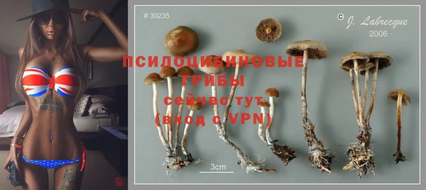 первитин Пролетарск