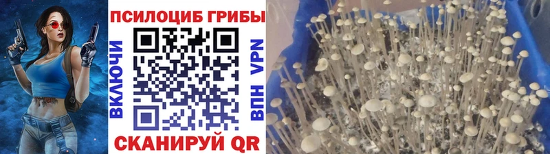 Галлюциногенные грибы ЛСД  Иноземцево 